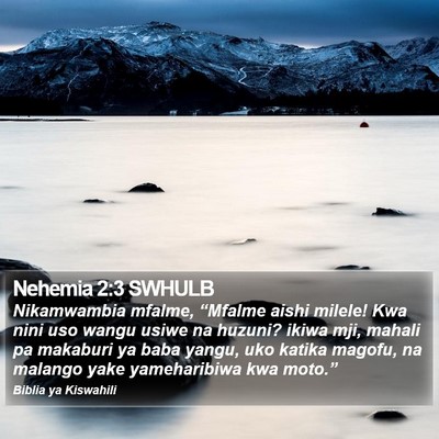 Nehemia 2:3 SWHULB Bible Verse Image