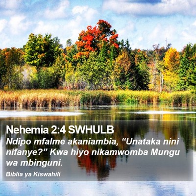 Nehemia 2:4 SWHULB Bible Verse Image