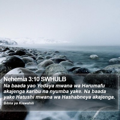 Nehemia 3:10 SWHULB Bible Verse Image