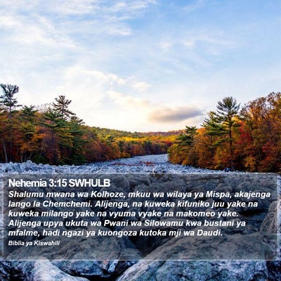Nehemia 3:15 SWHULB Bible Verse Image