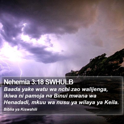 Nehemia 3:18 SWHULB Bible Verse Image