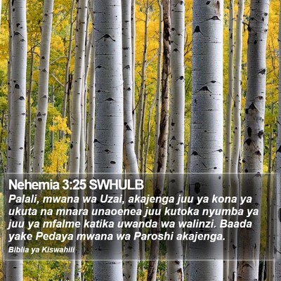 Nehemia 3:25 SWHULB Bible Verse Image