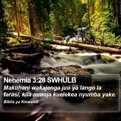 Nehemia 3:28 SWHULB Bible Verse Image