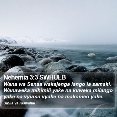 Nehemia 3:3 SWHULB Bible Verse Image