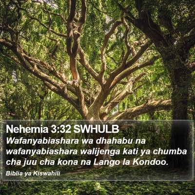 Nehemia 3:32 SWHULB Bible Verse Image