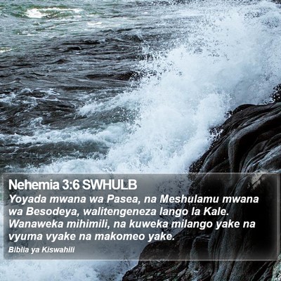 Nehemia 3:6 SWHULB Bible Verse Image