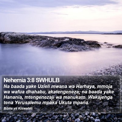 Nehemia 3:8 SWHULB Bible Verse Image