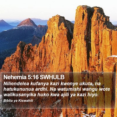 Nehemia 5:16 SWHULB Bible Verse Image
