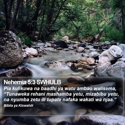 Nehemia 5:3 SWHULB Bible Verse Image