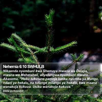 Nehemia 6:10 SWHULB Bible Verse Image