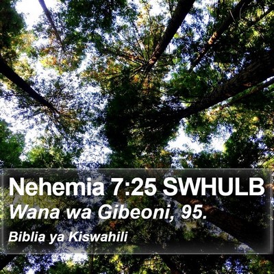 Nehemia 7:25 SWHULB Bible Verse Image