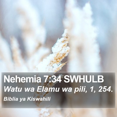 Nehemia 7:34 SWHULB Bible Verse Image