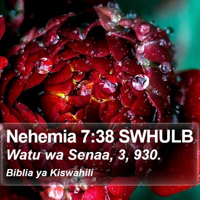 Nehemia 7:38 SWHULB Bible Verse Image