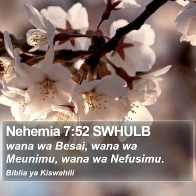 Nehemia 7:52 SWHULB Bible Verse Image