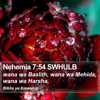 Nehemia 7:54 SWHULB Bible Verse Image