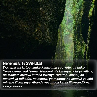 Nehemia 8:15 SWHULB Bible Verse Image