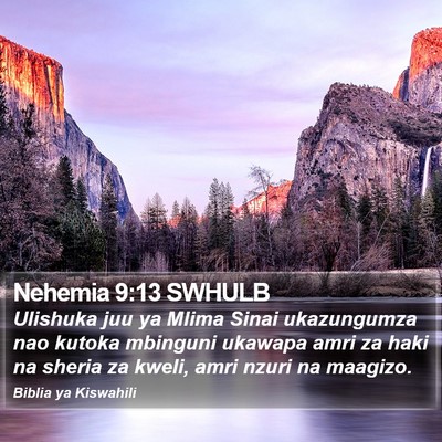 Nehemia 9:13 SWHULB Bible Verse Image