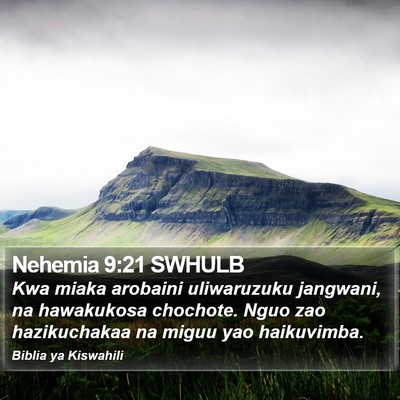 Nehemia 9:21 SWHULB Bible Verse Image