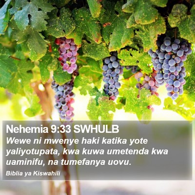 Nehemia 9:33 SWHULB Bible Verse Image