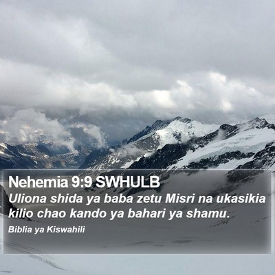 Nehemia 9:9 SWHULB Bible Verse Image