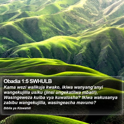 Obadia 1:5 SWHULB Bible Verse Image
