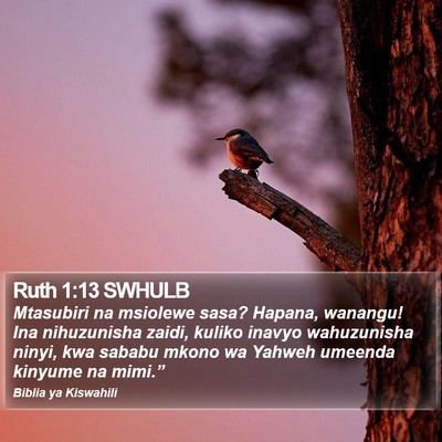 Ruth 1:13 SWHULB Bible Verse Image