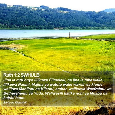 Ruth 1:2 SWHULB Bible Verse Image