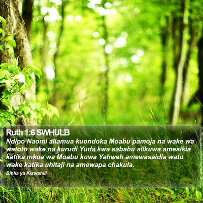 Ruth 1:6 SWHULB Bible Verse Image