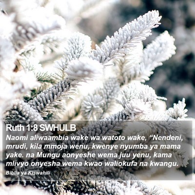 Ruth 1:8 SWHULB Bible Verse Image