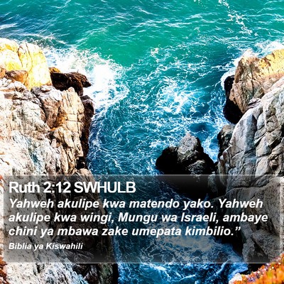 Ruth 2:12 SWHULB Bible Verse Image