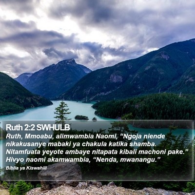 Ruth 2:2 SWHULB Bible Verse Image