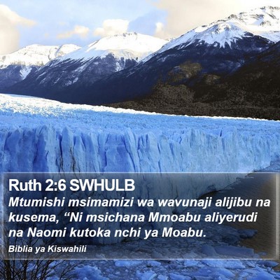 Ruth 2:6 SWHULB Bible Verse Image