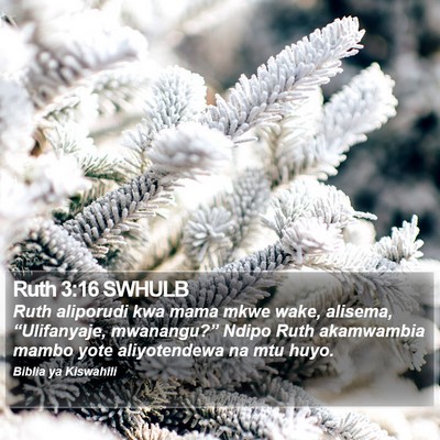 Ruth 3:16 SWHULB Bible Verse Image