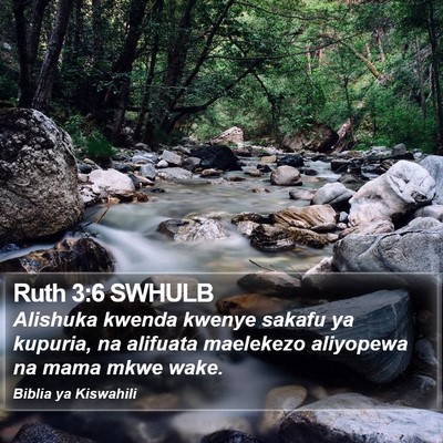 Ruth 3:6 SWHULB Bible Verse Image