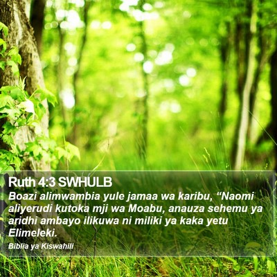 Ruth 4:3 SWHULB Bible Verse Image