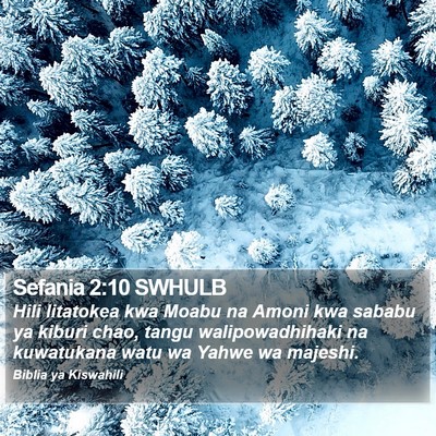 Sefania 2:10 SWHULB Bible Verse Image