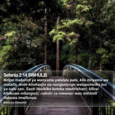 Sefania 2:14 SWHULB Bible Verse Image