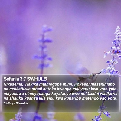 Sefania 3:7 SWHULB Bible Verse Image