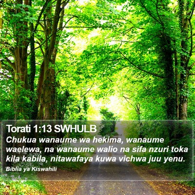 Torati 1:13 SWHULB Bible Verse Image