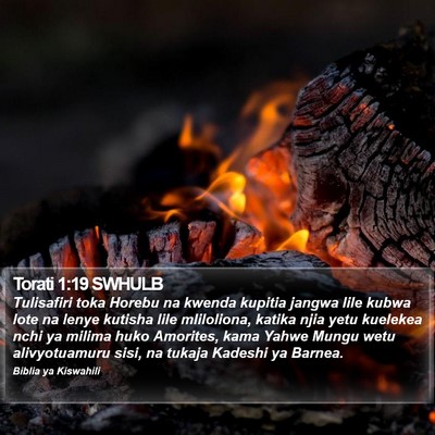 Torati 1:19 SWHULB Bible Verse Image