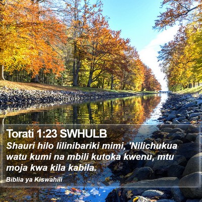 Torati 1:23 SWHULB Bible Verse Image