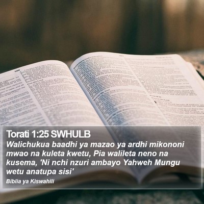 Torati 1:25 SWHULB Bible Verse Image