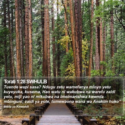Torati 1:28 SWHULB Bible Verse Image