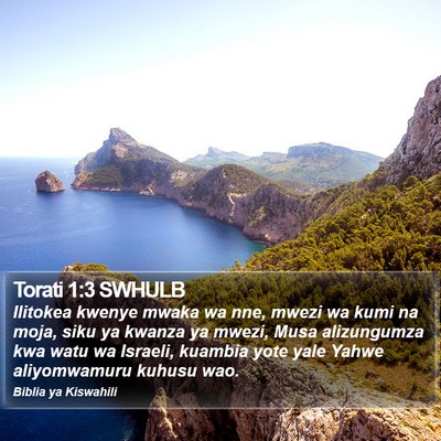 Torati 1:3 SWHULB Bible Verse Image