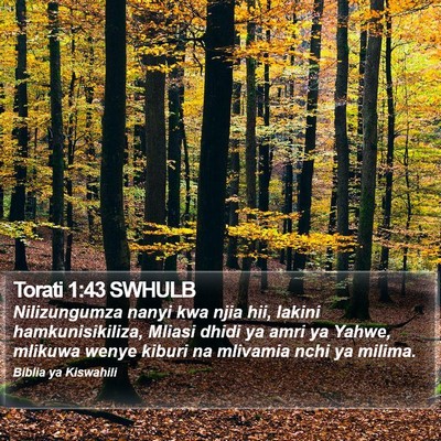 Torati 1:43 SWHULB Bible Verse Image