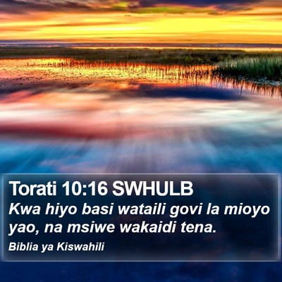 Torati 10:16 SWHULB Bible Verse Image