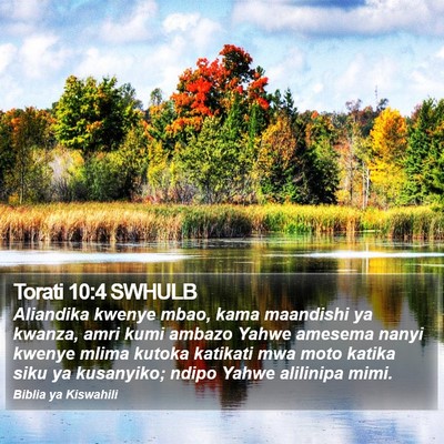 Torati 10:4 SWHULB Bible Verse Image
