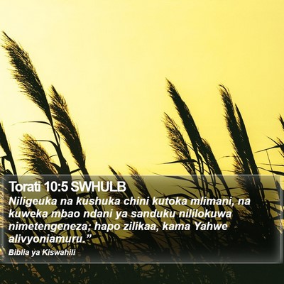 Torati 10:5 SWHULB Bible Verse Image