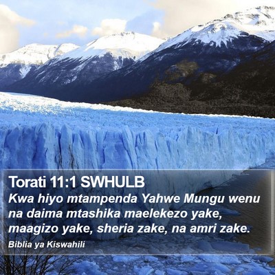 Torati 11:1 SWHULB Bible Verse Image