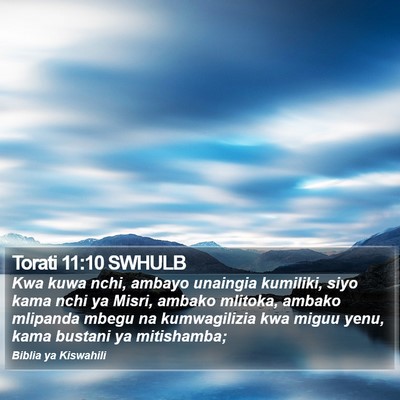Torati 11:10 SWHULB Bible Verse Image